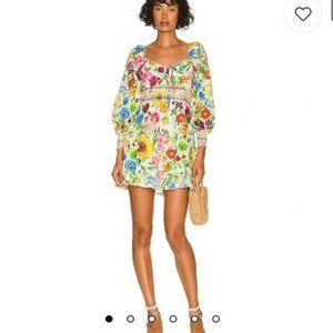 NWT Alice + Olivia Crawford Mini Dress in Sunday Stroll- Size 0 !NWT!